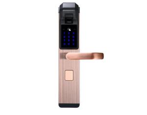  Competitive Price Zinc Alloy Fingerprint Door Lock With M1 Card For House Apartment Manufactures