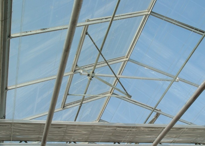 3mm 4mm Tomato Venlo Portable Glass Greenhouse Roof And Side Ventilation Control By Motor