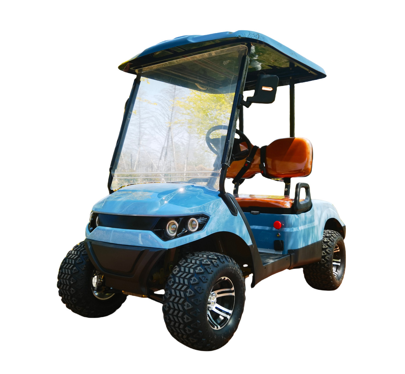 Blue Color 2 Seater Golf Cart 4 Wheel 10 Inch Tire 70-100km With Lithium Battery