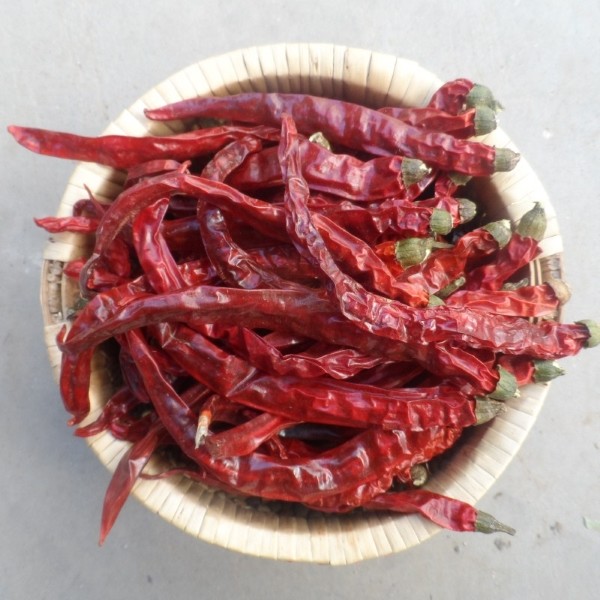 Guizhou Mantianxing Millet Pepper Dry Chili Hot Pot Seasoning Raw Material Spices