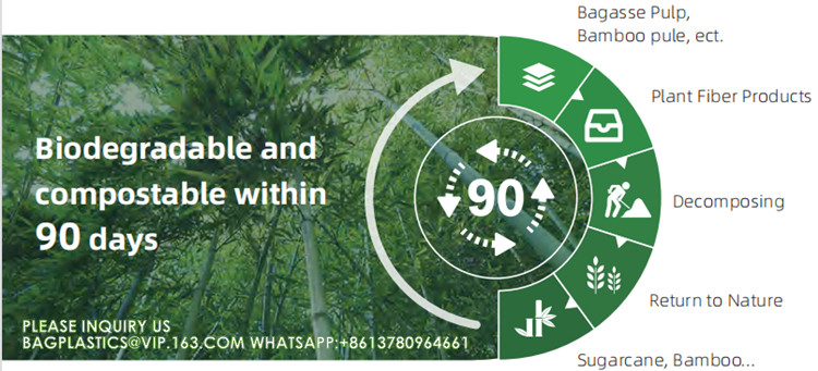 Eco Friendly Bowls 100% Compostable Disposable Biodegradable Sugarcane Bagasse Bowl