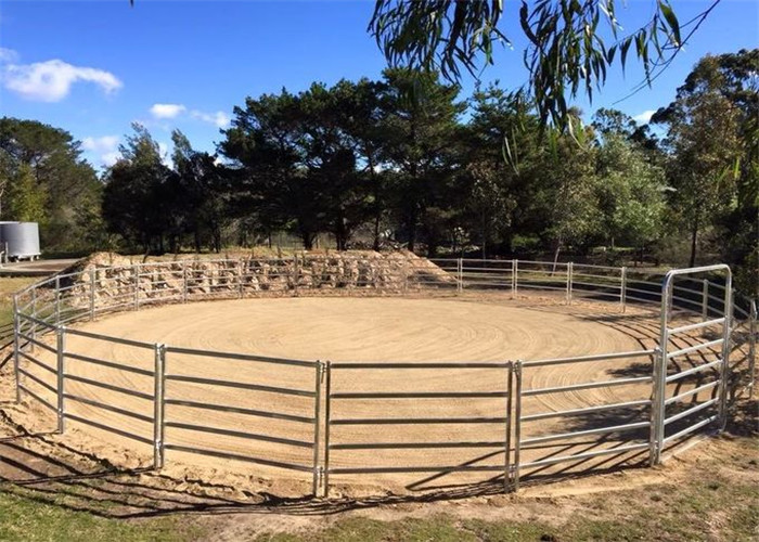 Cattle Yard Panels 1.6mx1.8m 0val 30mmx60mm design Farm Fencing