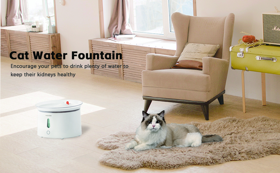 Cat Water Fountain With Debris Filter Dimensions L x W x H Inches 22.4*22.4*16.2CM