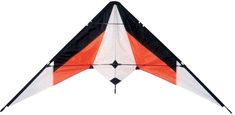 Dual line Delta stunt kite good sharp sports kites for Spring season
