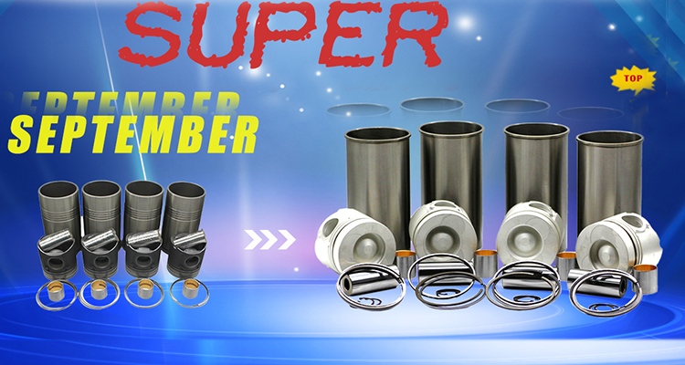 Year 2005-2010 6207-21-2110 Liner for Komatsu 3D95S 4D95L Perkins Excavator Diesel Engine Cylinder Liner Assembly