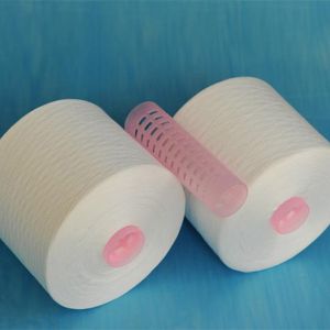 Regenarated Virgin Polyester Thread 20S/2 With GRS Certificate