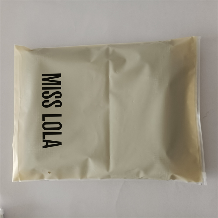 Gravure Printing Zipper Plastic Bag for Garment Packaging Custom Logo and Waterproof