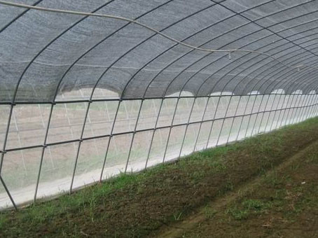 250 Meters Black Insect Mesh Netting For Prevent Wind Pollination