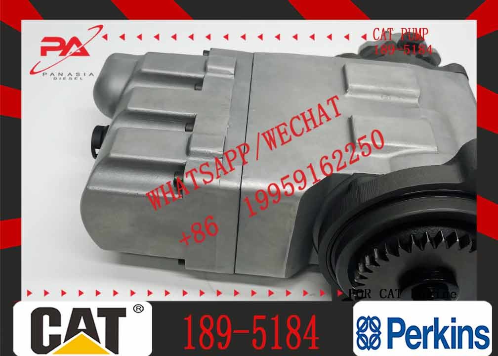 Diesel Fuel Injection Pump 189-5184 254-4357 for CAT C7 C9 Excavator E330D E336D E340DL