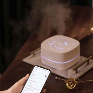 HOMEFISH Bluetooth Music LED Light Essential Oil Diffusers Aroma Diffuser