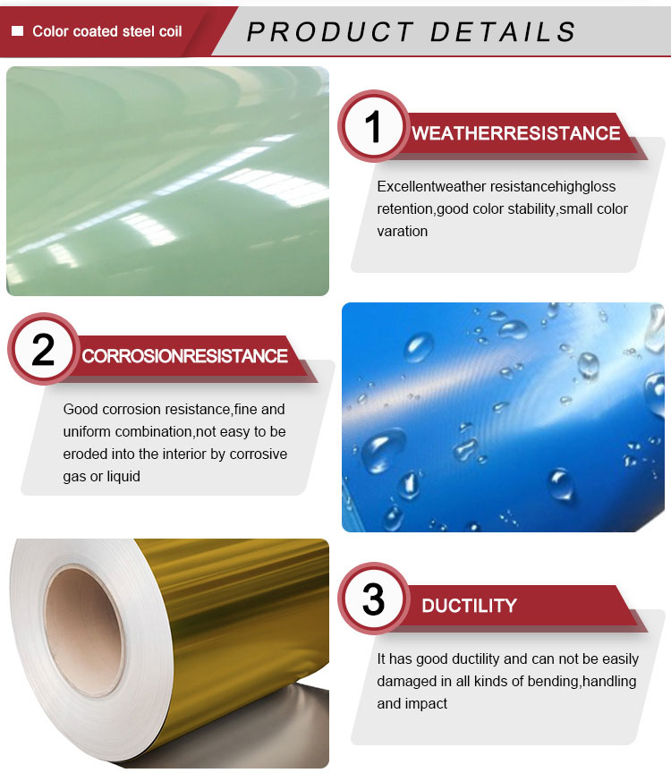 Color Coated Pre Painted Aluminum Coil Ppgi Coil Sheet SPCC SGCC Dx51d Grade 0.25-1.0mm