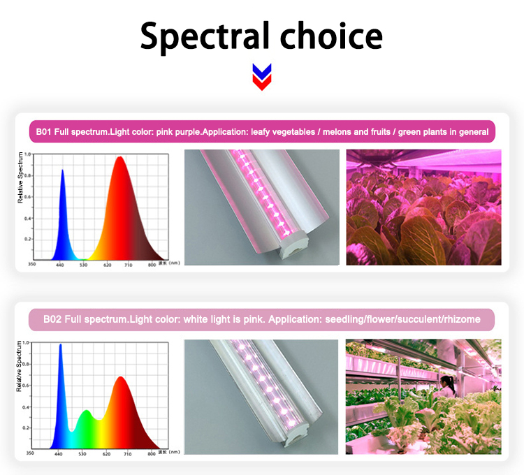 Double Row T8 LED Grow Light Fixture 36W Linkable Grow Light Strips For Indoor Plants