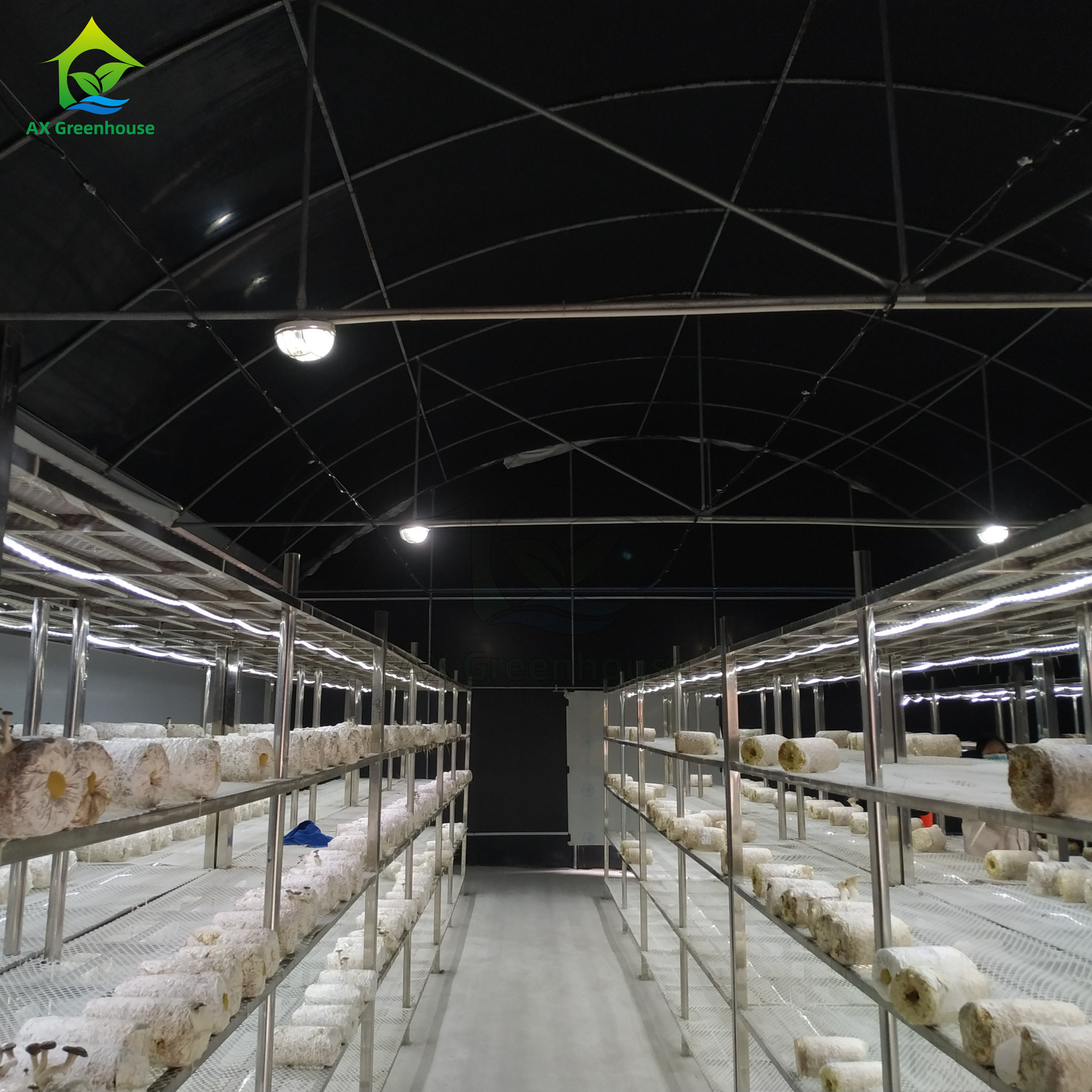 Stable Structure Easily Assembled Agricultural Single Span Fully Automated Blackout Mushroom Growing Greenhouse