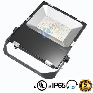  Outdoor Security 80 Wattage 120LM/W PROLINE Version SMD LED Flood Light With G Shape Buckle Long Lifespan Manufactures