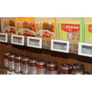 esl /electronic shelf label with preventing stealing design for supermarket and