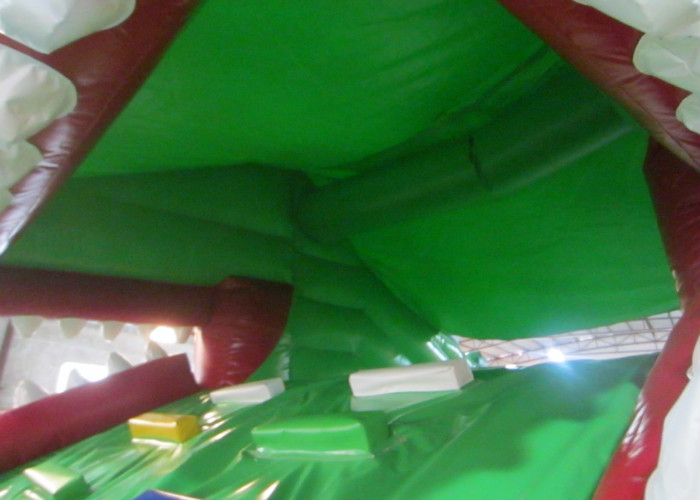Crocodile cartoon themed inflatable water slide with big water pool big inflatable crocodile water pool slide