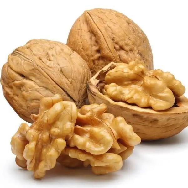OEM Chinese Wholesale New Crop Paper Walnut in shell High Protein Nut Non-GMO
