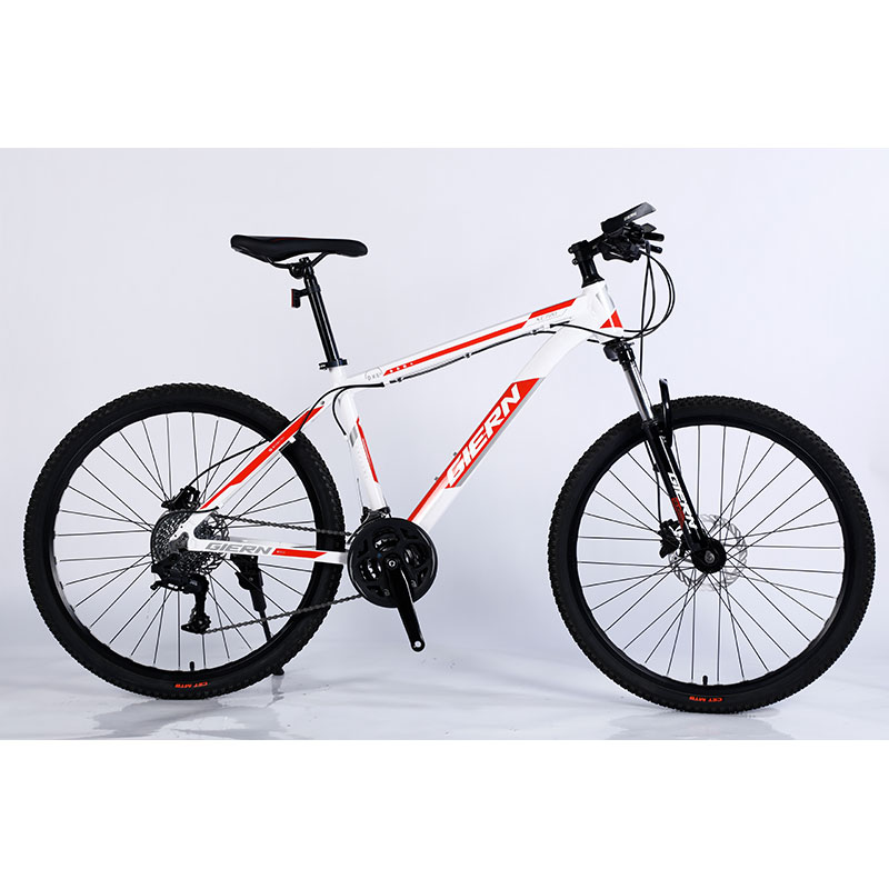 Double Wall Rim Cnc Lady Mountain Bike for Smart Riding Yinxing Hydrallic Disc Brake
