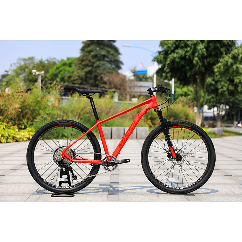 Durable 11speed Oil Brake Mountain Bike with High Cost Performance and Ordinary Pedal