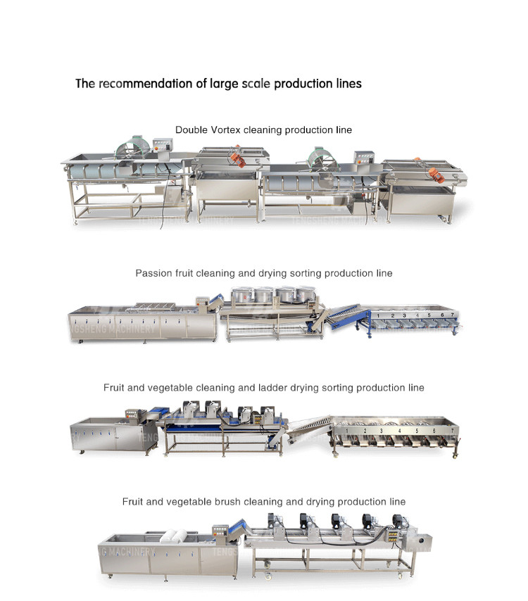2.6KW Multi-functional fruit and vegetable bubble cleaning machine vegetable food cleaning equipment