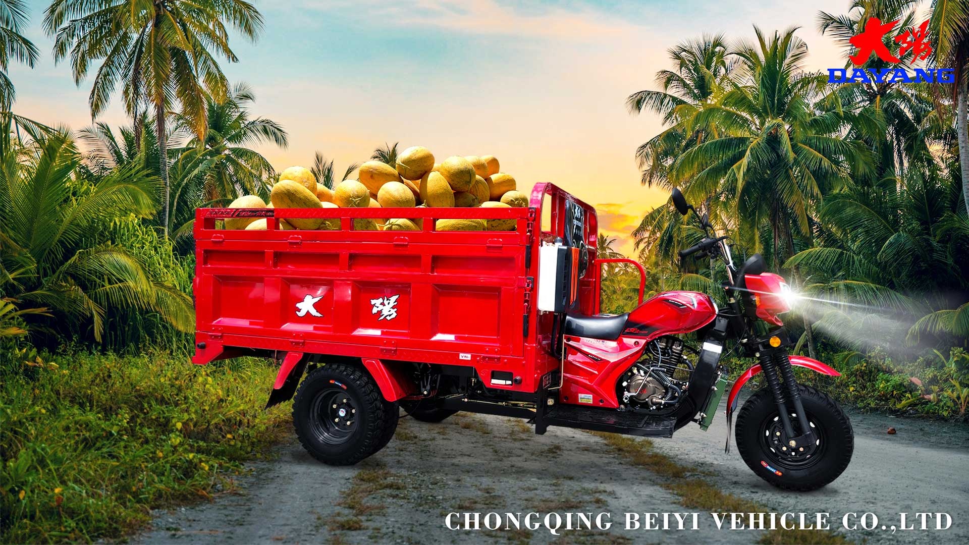 Motorized Cargo Tricycle with Luxury Carriage and Maximum Speed ≥70Km/h Tyre 5.0-12
