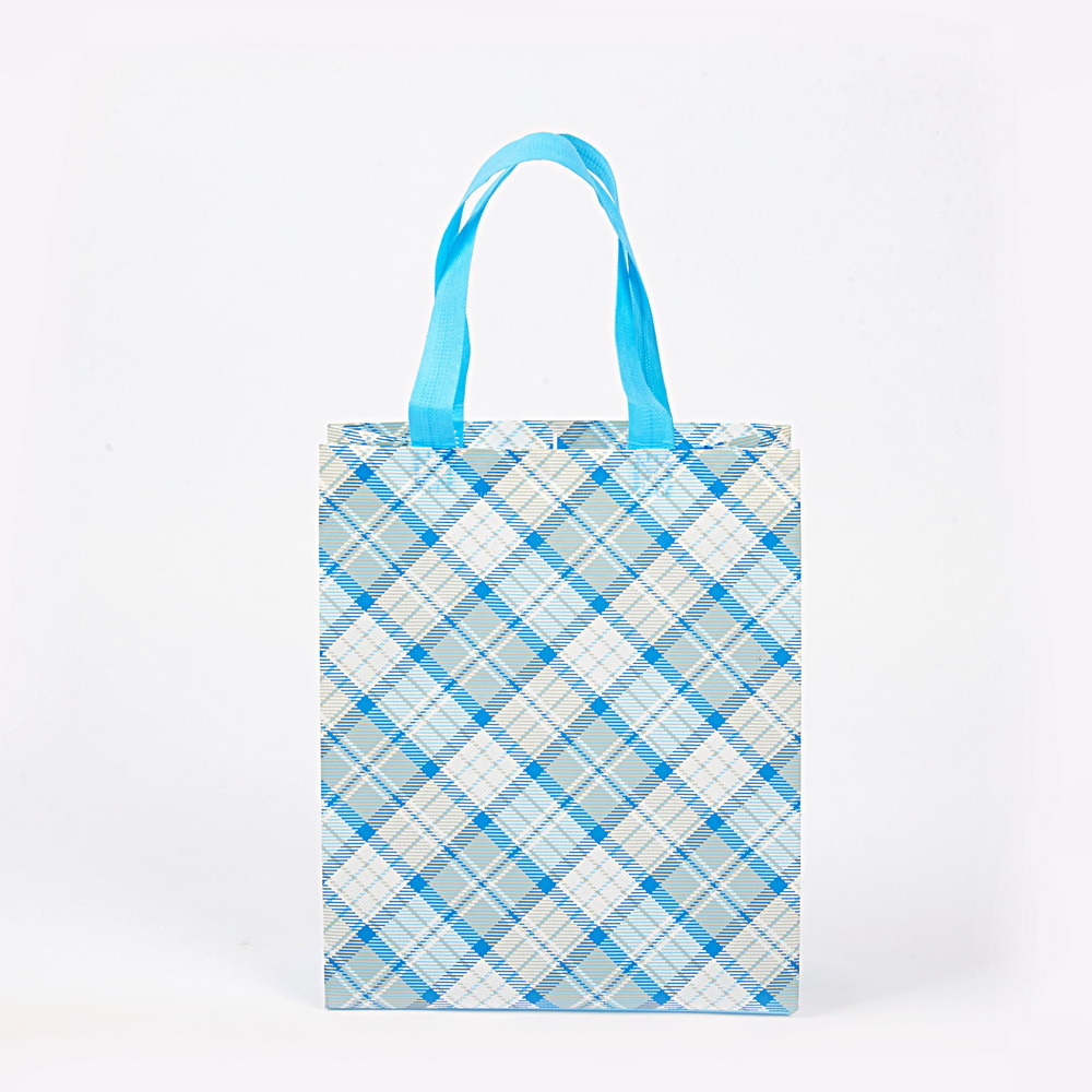 Good Quality PP Non Woven Gift Bag Promotion Tote Bag Eco-Friendly Reusable Bag