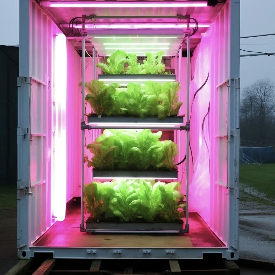 Vegetable Container Greenhouse with Roofing Sheet
