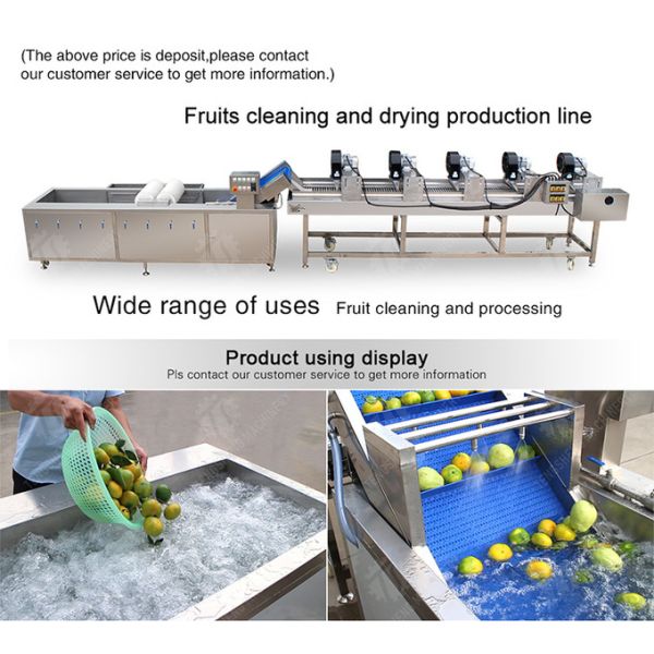 Customization Ozone Sterilization Fruit And Vegetable Processing Line Dry Detoxification