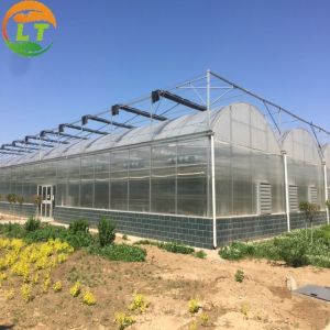 Customizable Size Multi-Span Agricultural Invernadero with Advanced Hydroponic