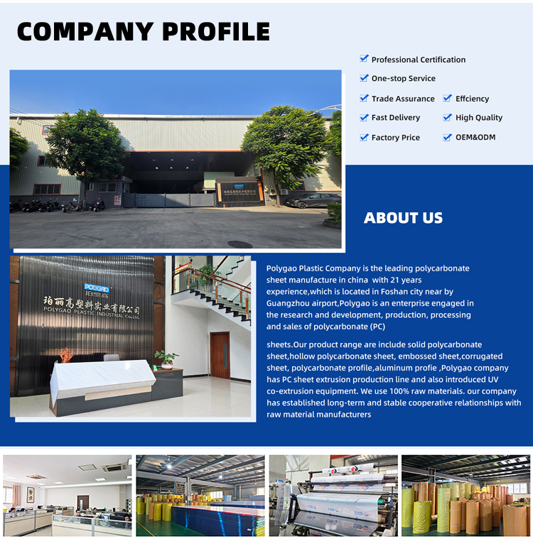 Anti UV Coating Soundproof Transparent Double Wall Polycarbonate Sheet Clear Polycarbonate Hollow Sheet for Roofing Sound Proof