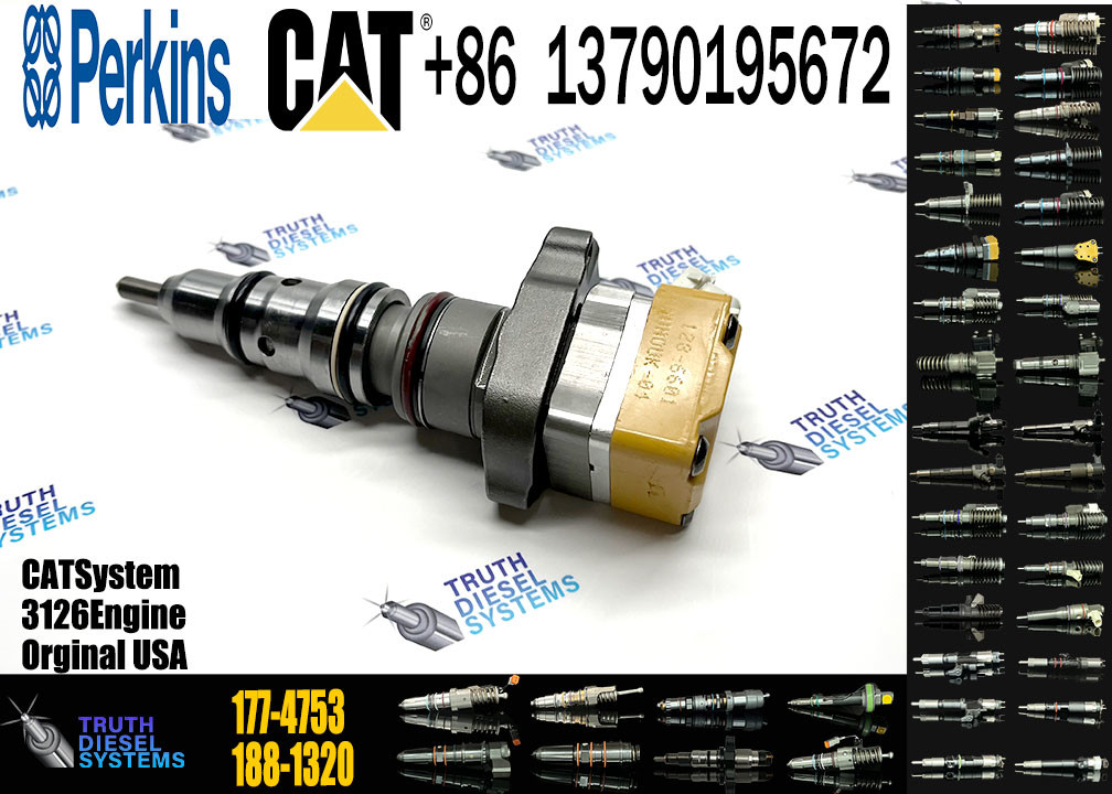 Fuel Injector 171-9710 171-9704 178-6432 177-4753 138-8756 222-5963 222-5972 173-4059 155-1819 155-8723 2C0273