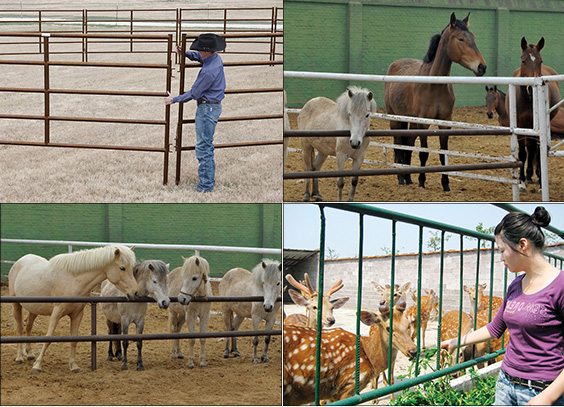 Livestock Farm Fence / Horse Fence Panel / Cattle Fence Panel horse sheep stockyard corral panel yard gate