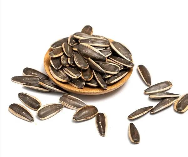 Competitive Price Hot Sales Roasted Sunflower Seeds Customized Packaging Dried