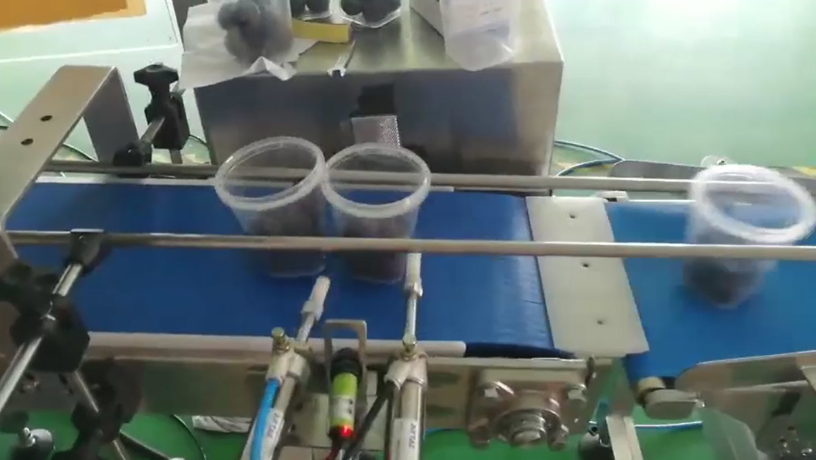ODM Automatic Filling Machine Bottled Jars Cans Puffed Food Sweets Packing Rotary Cup Filling Sealing Machine