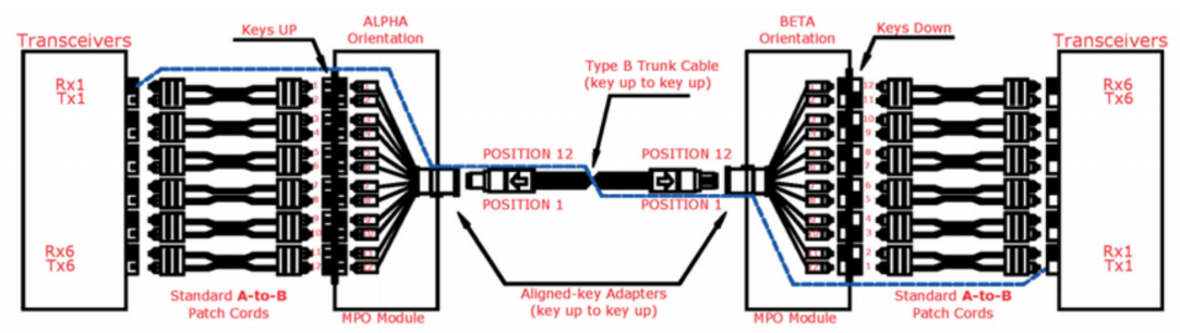 12 Fibers MPO Female To MPO Female Singlemode 3.0mm LSZH MPO Patch Cord