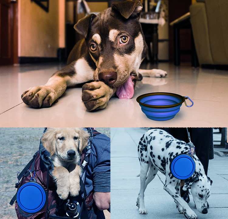 350ml 1000ml Foldable Dog Bowl TPE Silicone Collapsible Dog Bowl
