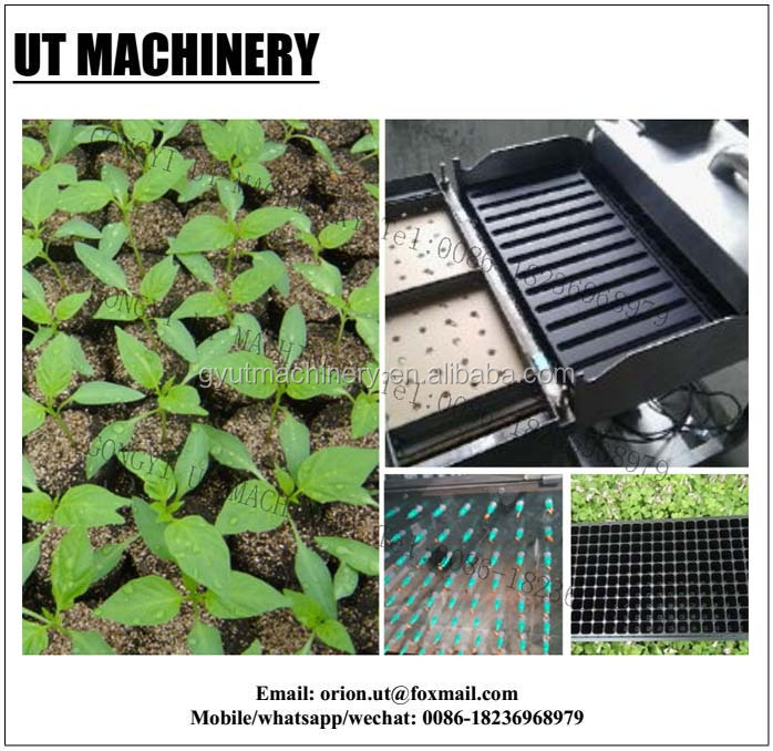7 Rows Vegetable Tray Seeding Machine for Good Economic Benefits and Easy Operation