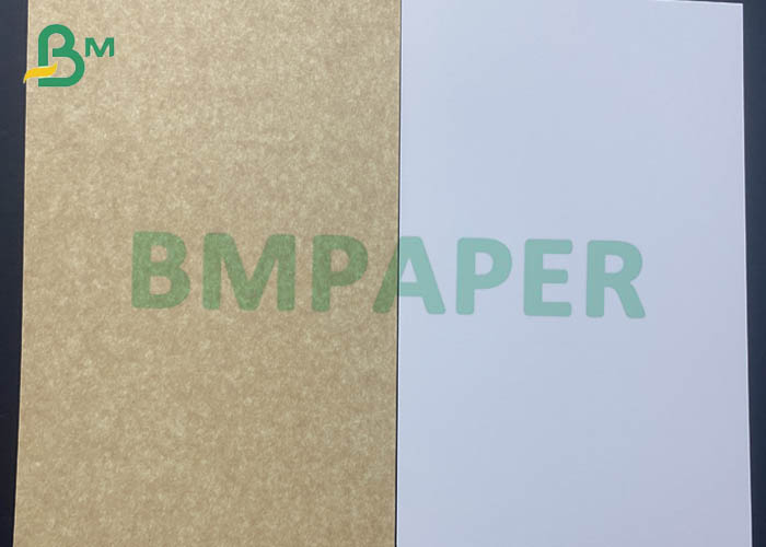  Coated Board Kraftback