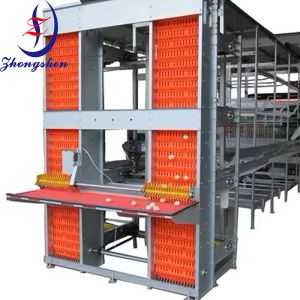 Automation Egg Collection Decelerator For Layer Chicken Cage