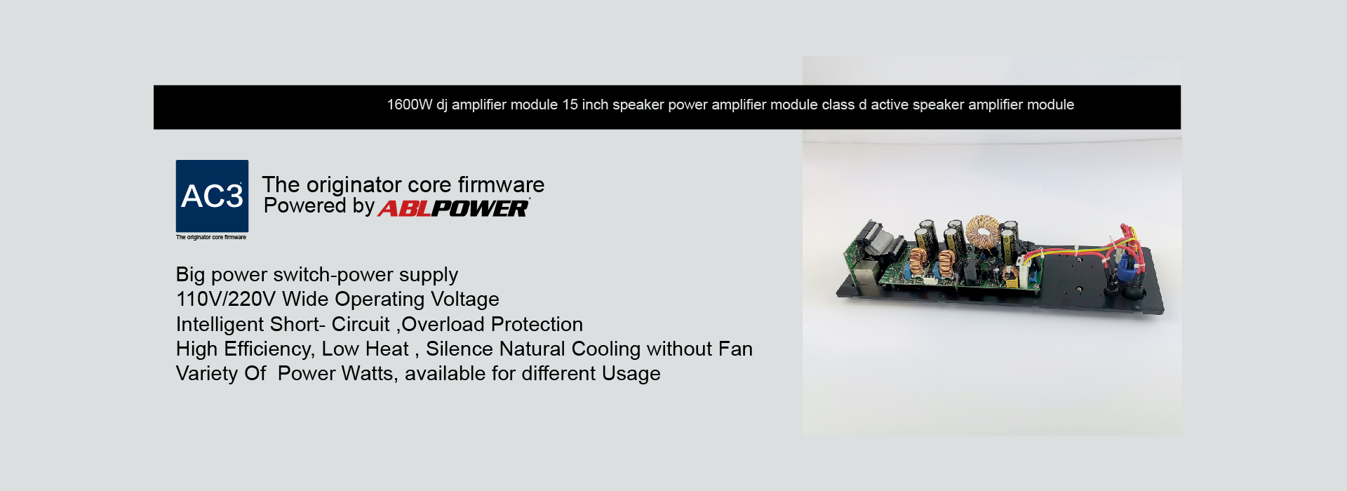 Overload Protection 33KHz Amp Module For Active Speaker