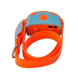 Bluetooth 4.0 Remote Pet Training Collar Orange With i-Phone Controller