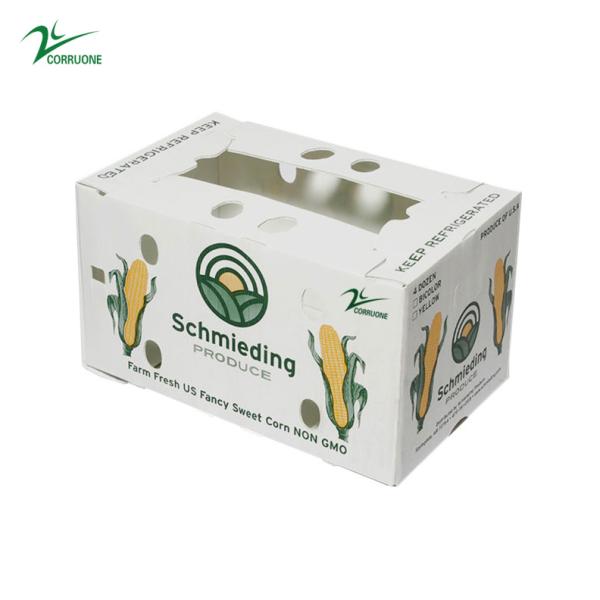 Corruone Waterproof Folding Polypropylene Corrugated Plastic Fruits Vegetables