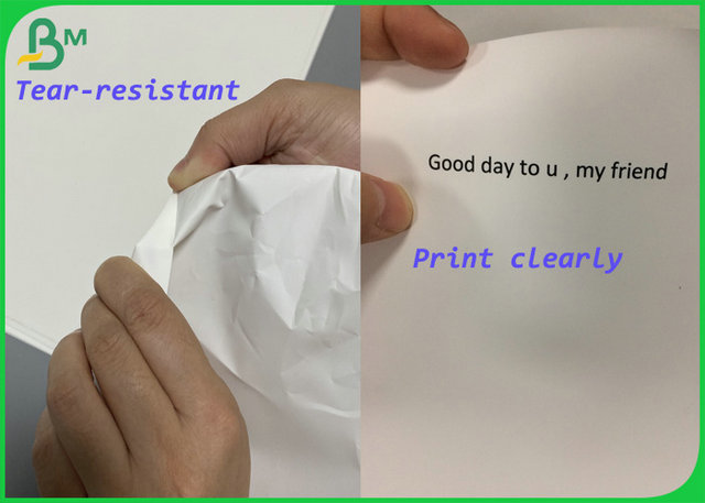 300gsm 350gsm Not torn PET Synthetic paper 30inch by 31inch  in laser printing 