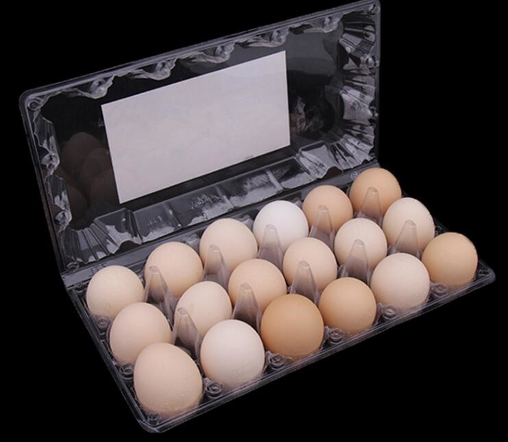 Meal Prep Containers Free Sample Bento Lunch Box Biodegradable Food Container Plastic Wheat Straw Lunch Box bagplastics