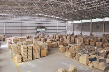 Henan Multi-Sweet Beekeeping Technology Co., Ltd.