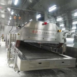 Meatfish Fast Freezing Mesh Belt Tunnel Freezer 4000kg Per Hour 4500kg Per Hour