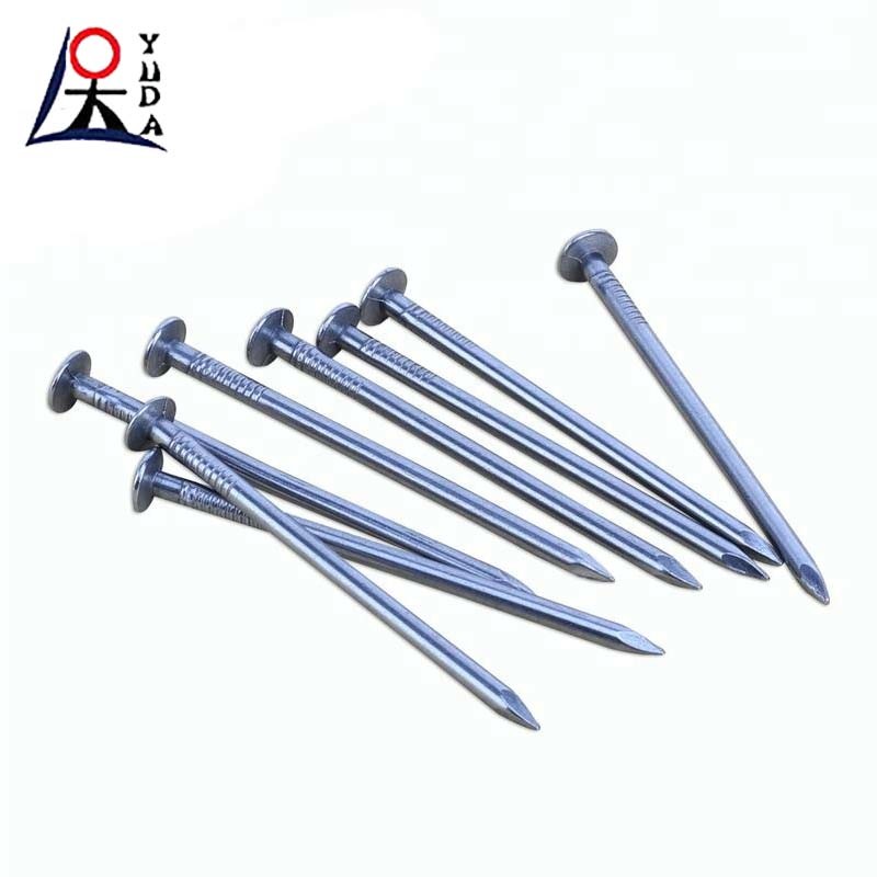 2.5 Inches Hot Dipped Galvanized Nails Price Bulk Nails 500 ~ 1300 mpa Strength