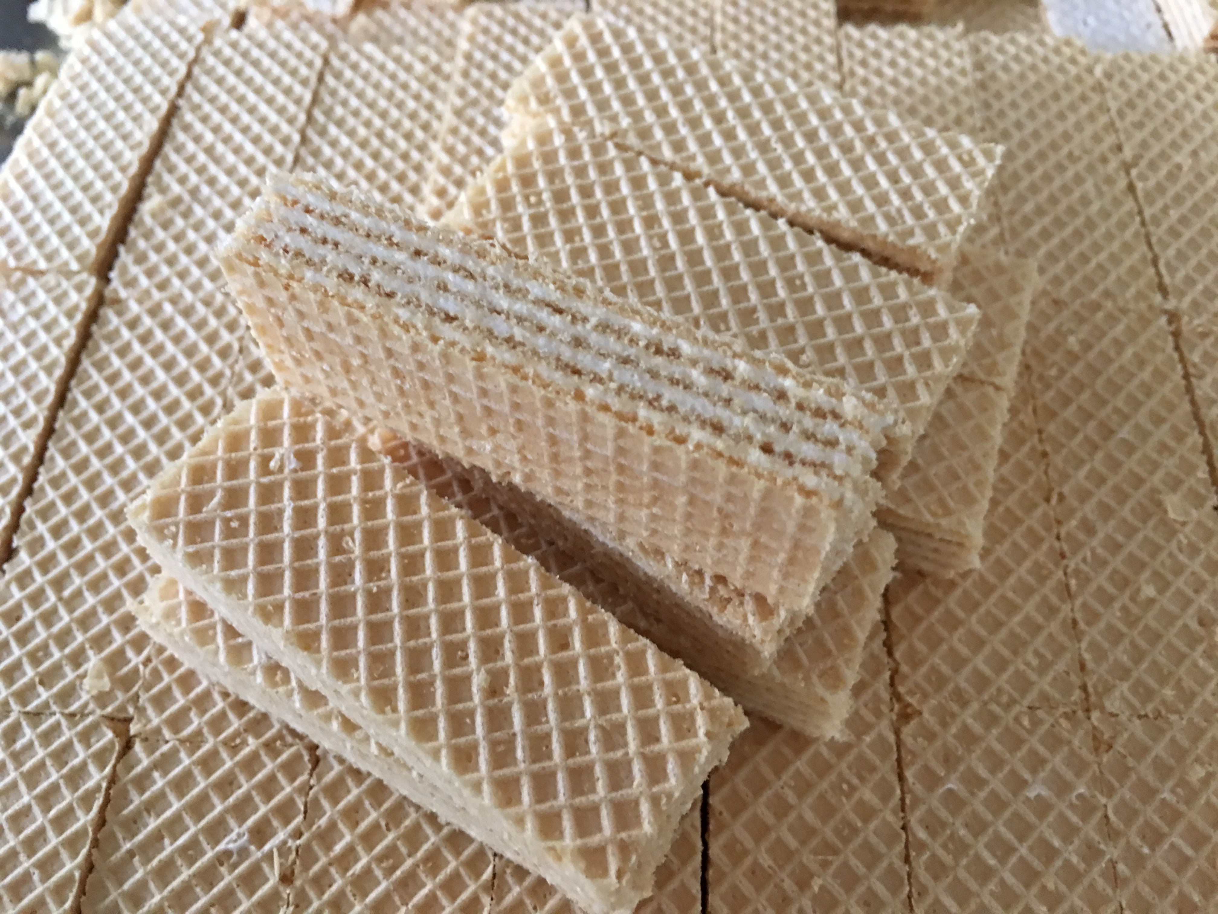 Full Auto 27 Plate SEW Motor Wafer Biscuit Making Machine