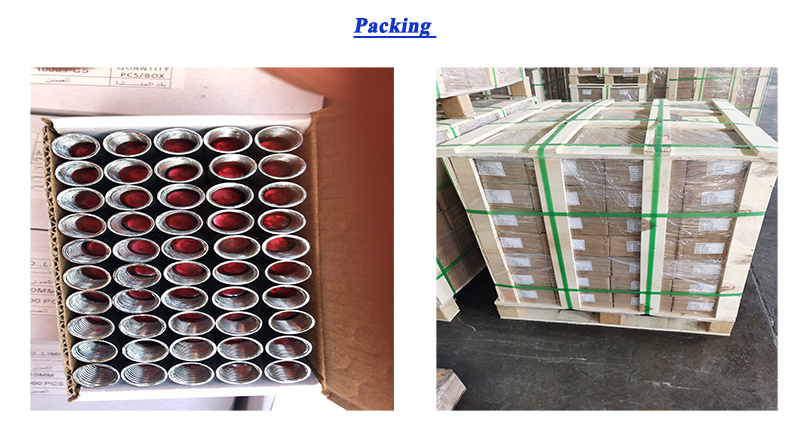 Galvanized Drop in Anchor Carbon Steel Expansion Anchors Bolt for Structure