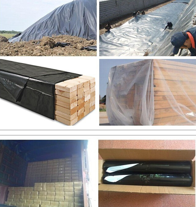 Transparent / Black / Silver / White color Plastic PE LDPE Agriculture Mulching Film,panda strawberry mulch film/black w